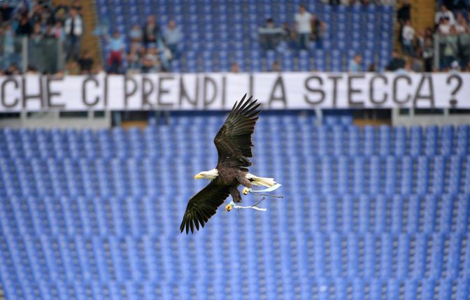 Lazio-Chievo 3-0, l'aquila Olimpia spicca il volo prima della partita. Ansa
